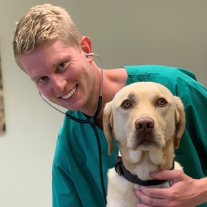 Foto von Dr. Niklas Bürgener