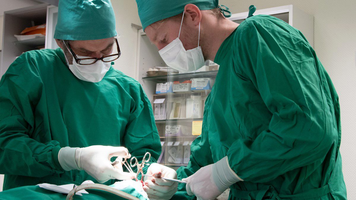 Teaserbild Tierärzte Kelberg GmbH